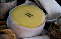 Queijo Curado Amanteigado
